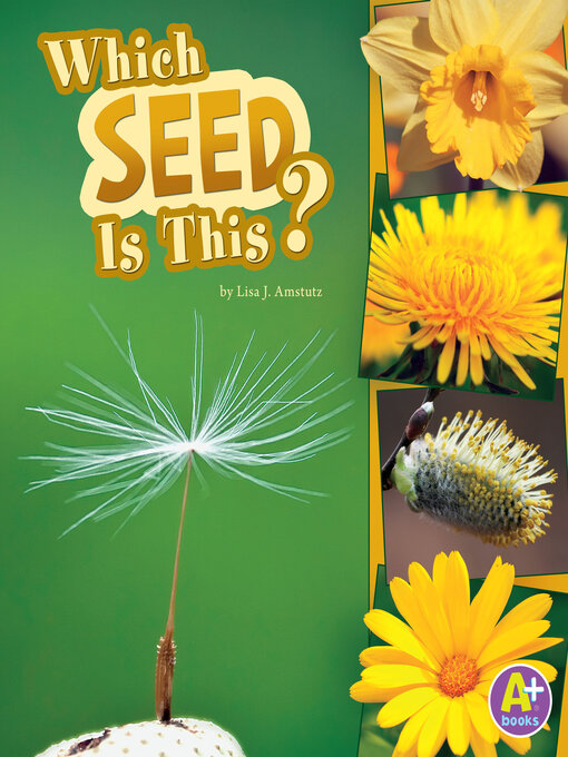 Title details for Which Seed Is This? by Lisa J. Amstutz - Available
